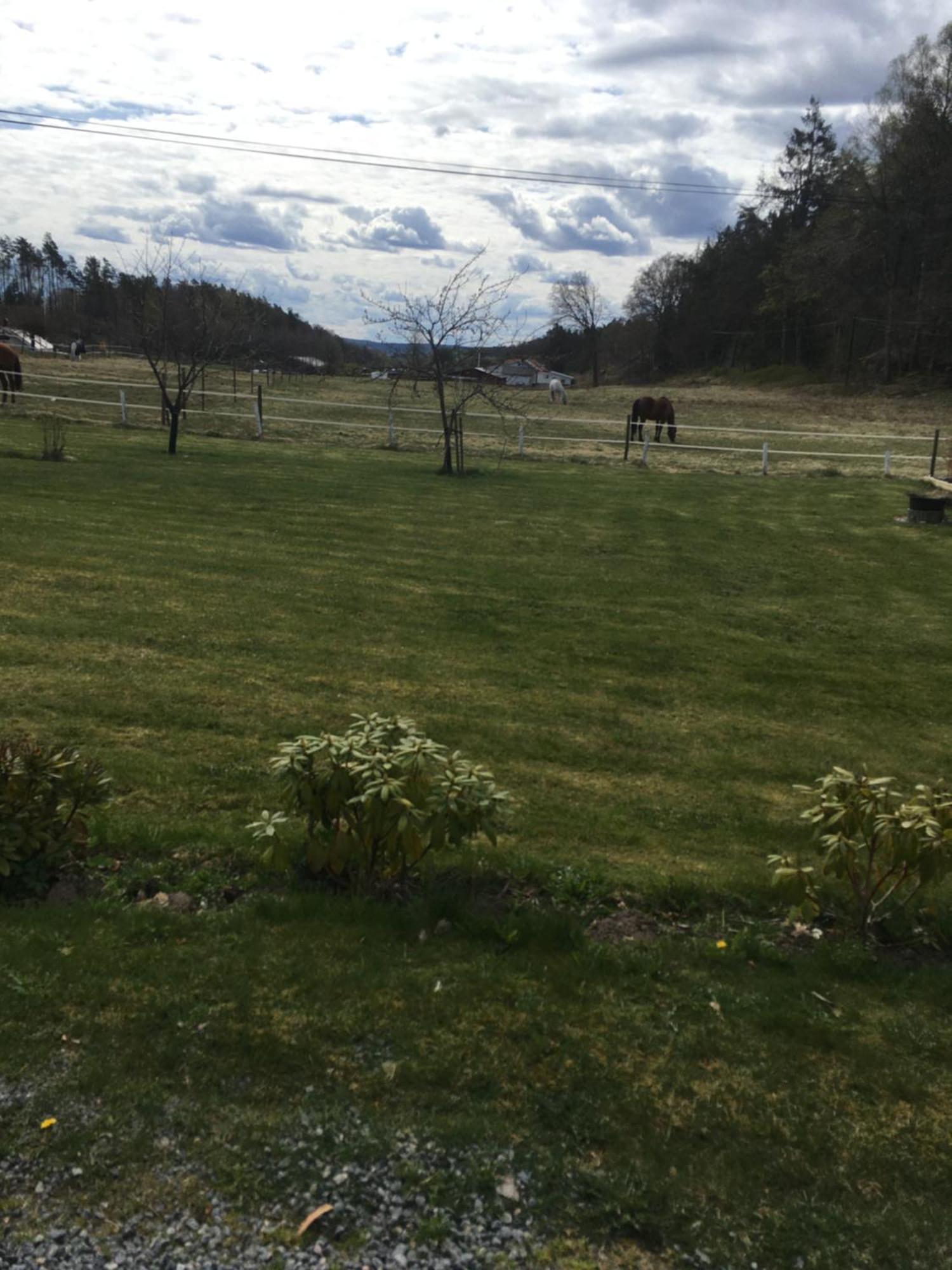 Airbnbekasberg Olofstorp Exterior foto