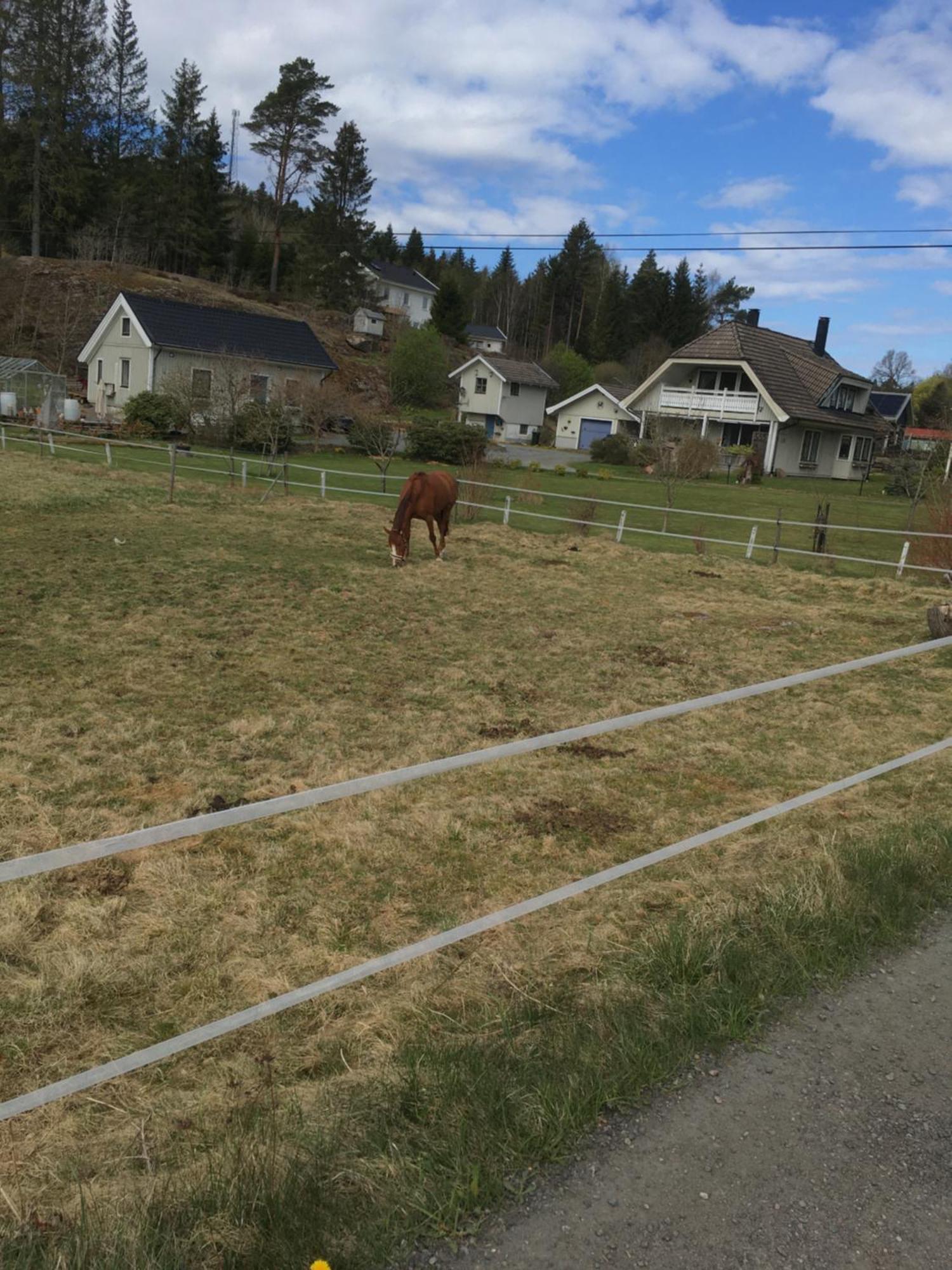 Airbnbekasberg Olofstorp Exterior foto