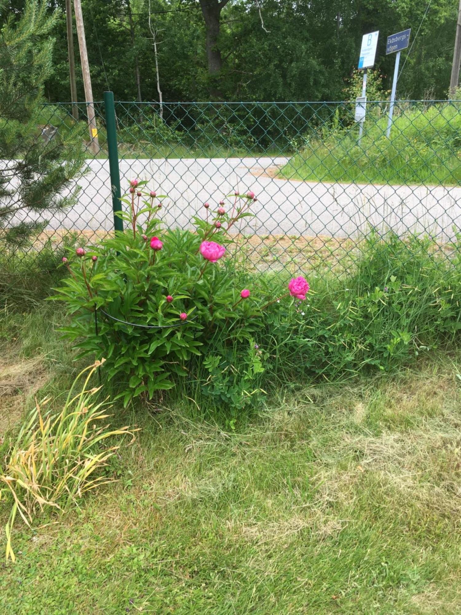 Airbnbekasberg Olofstorp Exterior foto